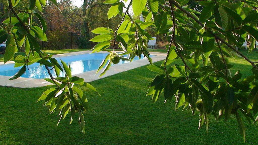 Hotel Apartamento Rural Finca La Media Legua Aracena Luaran gambar